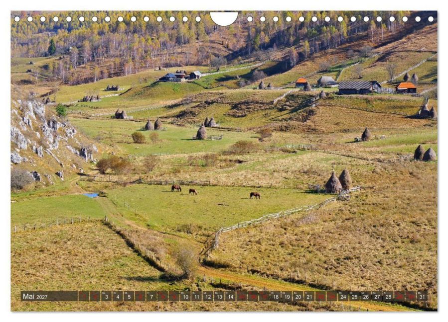 InsideView 10