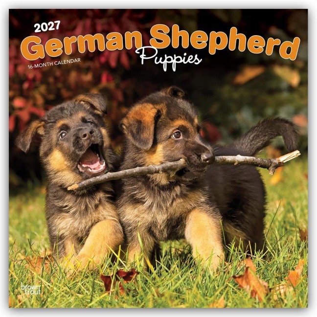 German Shepherd Puppies - Deutsche Schäferhund Welpen 2027 - 16-Monatskalender - Browntrout Publishers