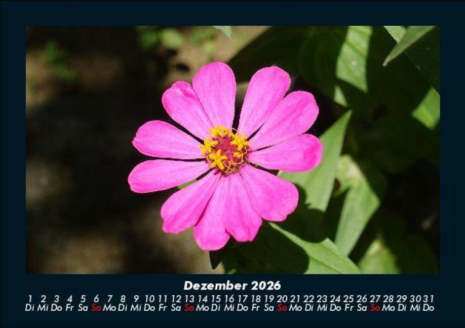 InsideView 4