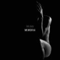 Cover-Bild zum Titel 'Memoria' von 'Holly Loose'