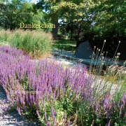 Cover-Bild zum Titel 'Dankeschön' von 'Adina Smaragd'