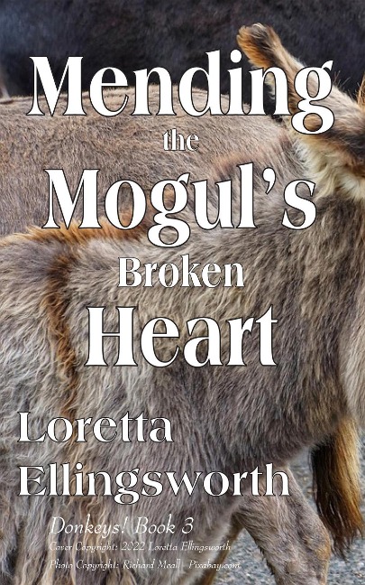 Mending the Mogul's Broken Heart (Donkeys!, #3) - Loretta Ellingsworth