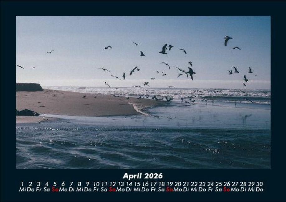 InsideView 8