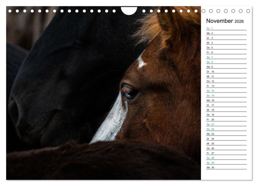 InsideView 3