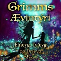 Cover-Bild zum Titel 'Eineyg, Tvíeyg og Þríeyg' von 'Grimmsbræður'
