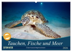 Cover-Bild zum Titel 'Tauchen, Fische und Meer (Wandkalender 2026 DIN A2 quer), CALVENDO Monatskalender' von 'Sven Gruse'