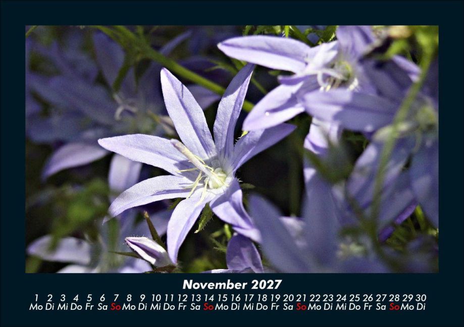 InsideView 3