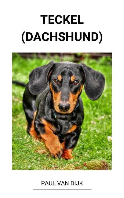 Teckel (dachshund) - Paul van Dijk