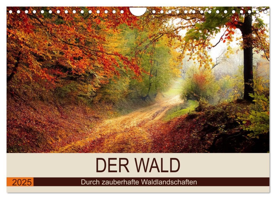 Der Wald. Durch zauberhafte Waldlandschaften (Wandkalender 2025 DIN A4 quer), CALVENDO Monatskalender - Rose Hurley