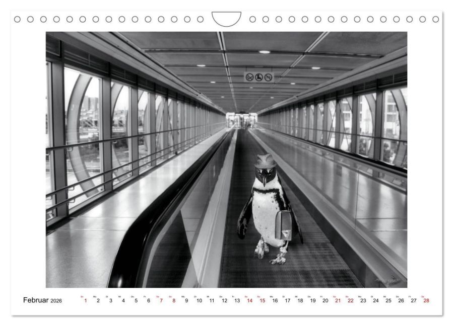 InsideView 7