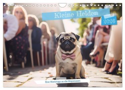 Cover-Bild zum Titel 'Kleine Helden - eine Hommage an die Mopsrasse (Wandkalender 2026 DIN A4 quer), CALVENDO Monatskalender' von 'Nico Becker'