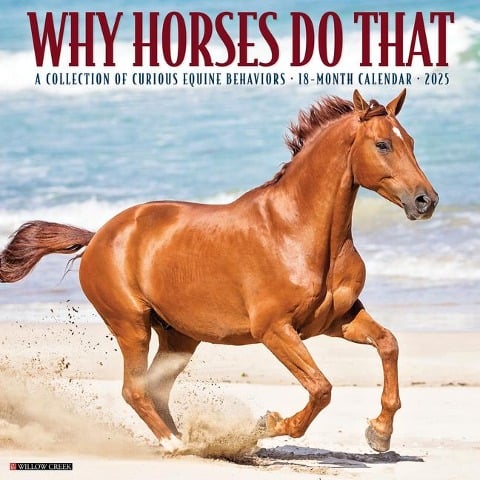 Why Horses Do That 2025 12 X 12 Wall Calendar - Willow Creek Press