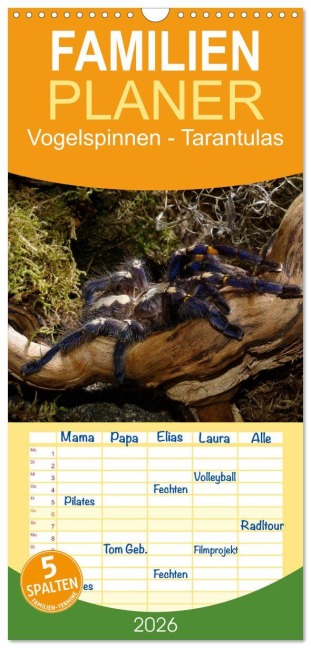 Familienplaner 2026 - Vogelspinnen - Tarantulas mit 5 Spalten (Wandkalender, 21 x 45 cm) CALVENDO - Benny Trapp