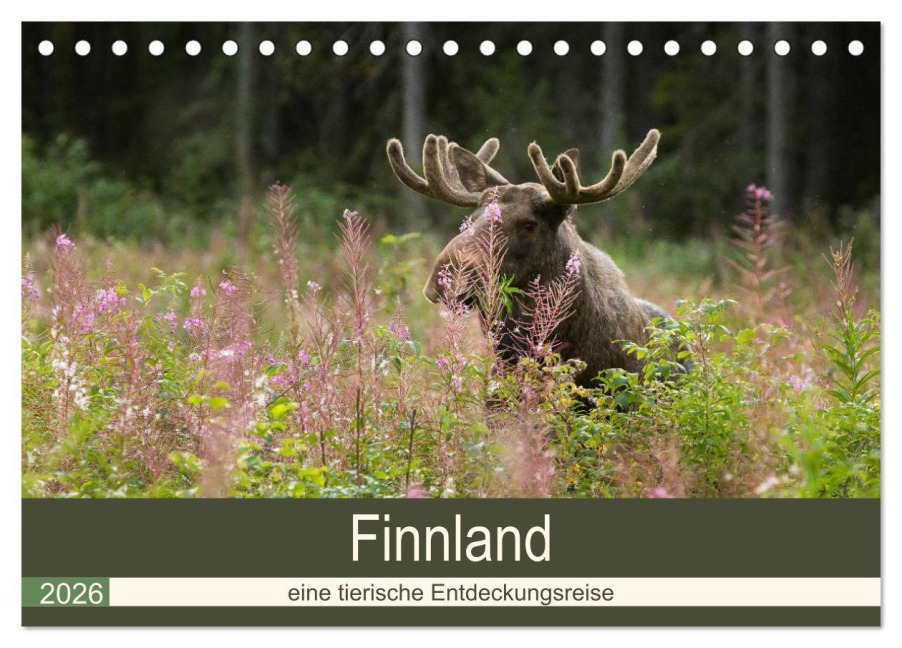 Finnland: eine tierische Entdeckungsreise (Tischkalender 2026 DIN A5 quer), CALVENDO Monatskalender - Alexandra Wünsch