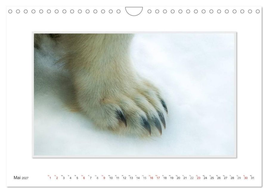 InsideView 10