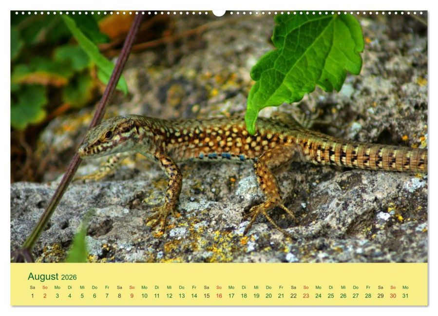 InsideView 13