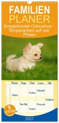 Cover-Bild zum Titel 'Familienplaner 2027 - Enegiebündel Chihuahua - Temperament auf vier Pfoten mit 5 Spalten (Wandkalender, 21 x 45 cm) CALVENDO' von 'Sigrid Starick'