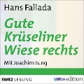 Cover-Bild zum Titel 'Gute Krüseliner Wiese rechts' von 'Hans Fallada'