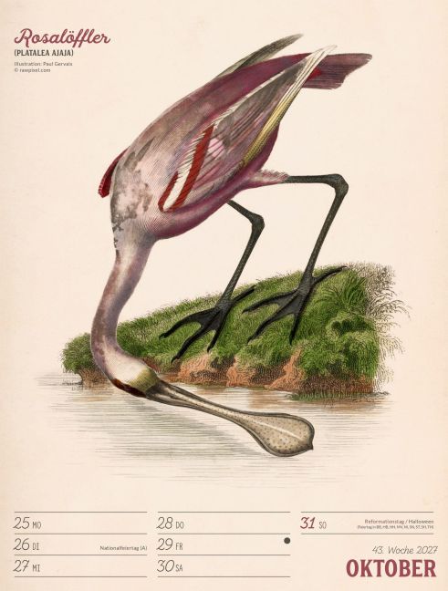InsideView 47