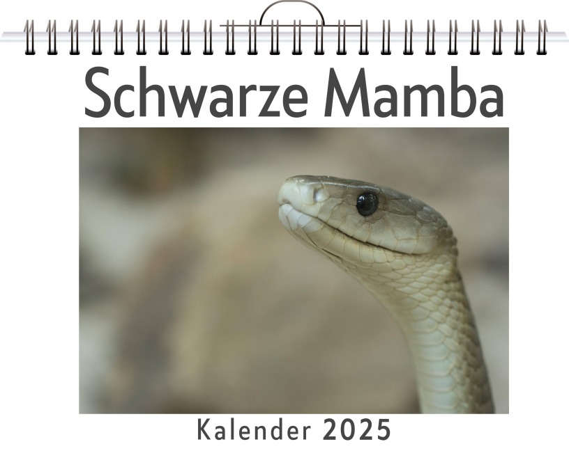 Schwarze Mamba - Henry Braun