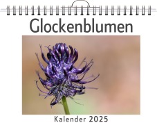 Cover-Bild zum Titel 'Glockenblumen' von 'Elias Herrmann'