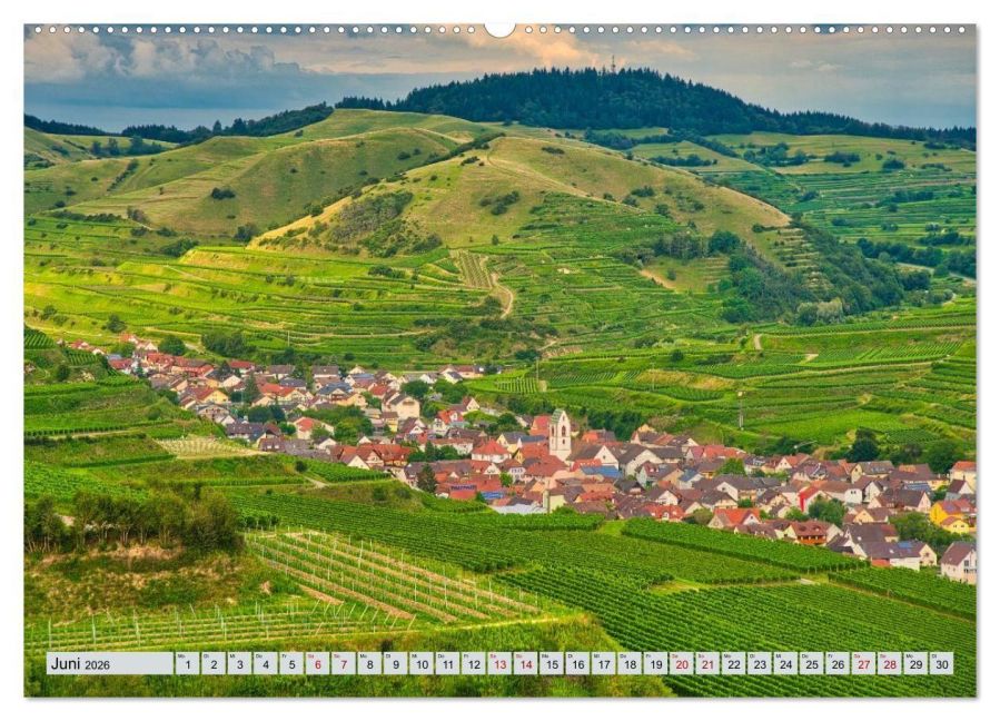 InsideView 11