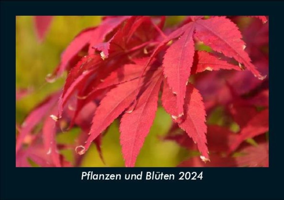 Pflanzen und Blüten 2024 Fotokalender DIN A5 - Tobias Becker