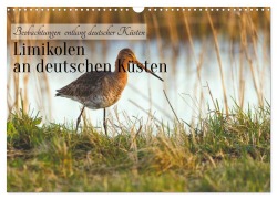 Cover-Bild zum Titel 'Limikolen an deutschen Küsten (Wandkalender 2027 DIN A3 quer), CALVENDO Monatskalender' von 'Frederic Bauer'