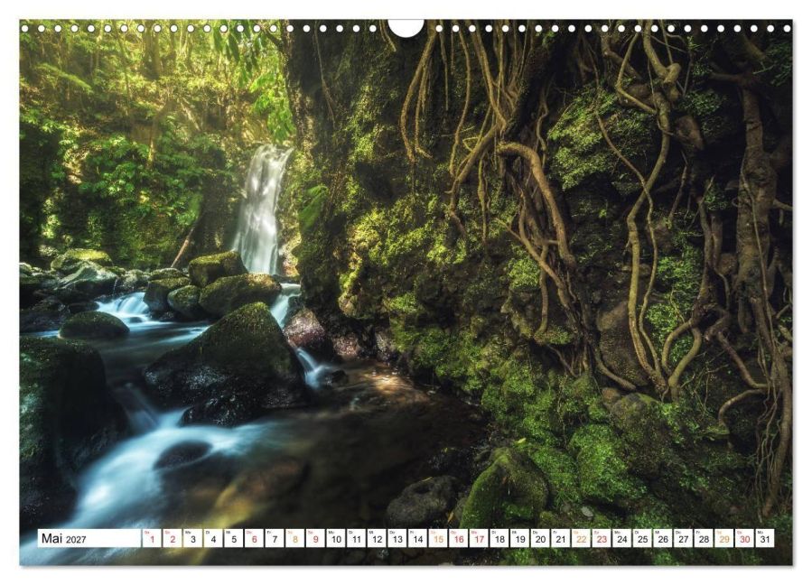 InsideView 10