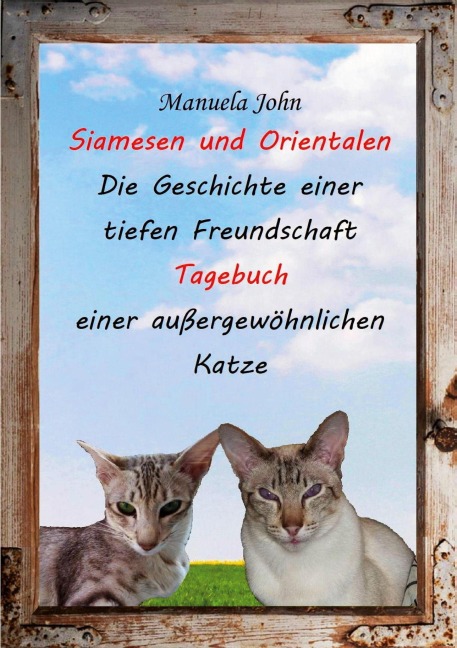 Siamesen und Orientalen - Manuela John