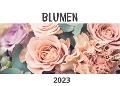 Blumen - Bibi Hübsch