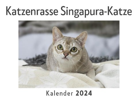 Katzenrasse Singapura-Katze (Wandkalender 2024, Kalender DIN A4 quer, Monatskalender im Querformat mit Kalendarium, Das perfekte Geschenk) - Anna Müller