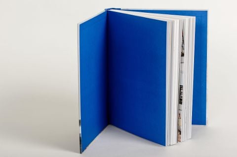 InsideView 10