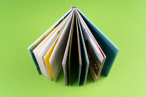 InsideView 11
