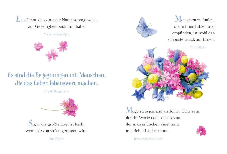 InsideView 1