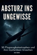Cover-Bild zum Titel 'Absturz ins Ungewisse' von 'Anna Richter'