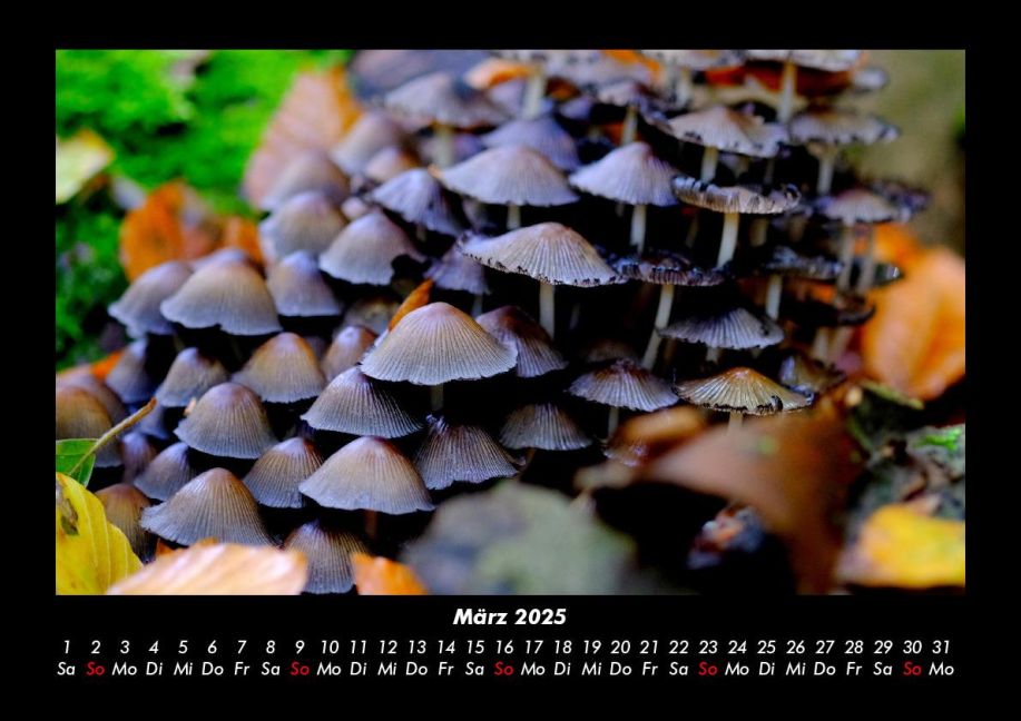InsideView 7