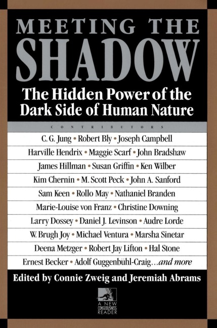Meeting the Shadow - 