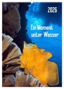 Ein Moment unter Wasser (Wandkalender 2026 DIN A2 hoch), CALVENDO Monatskalender - Henry Jager