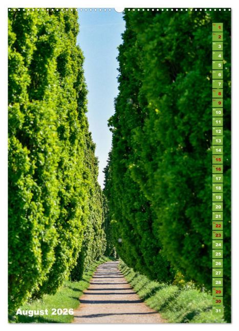 InsideView 12
