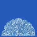 Cover-Bild zum Titel 'Yes! Come Parade With Us (Ltd.CD)' von 'Leafcutter John'