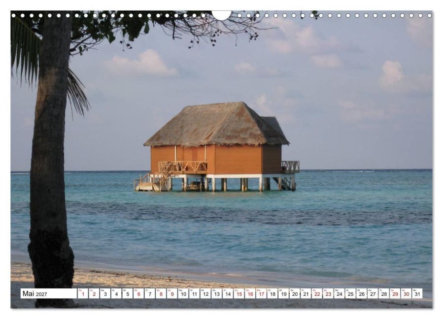 InsideView 10