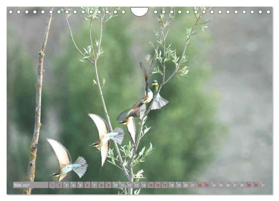 InsideView 10