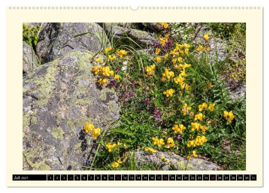 InsideView 12