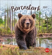 Cover-Bild zum Titel 'Bärenstark Postkartenkalender 2027' von ''