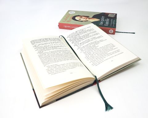 InsideView 5