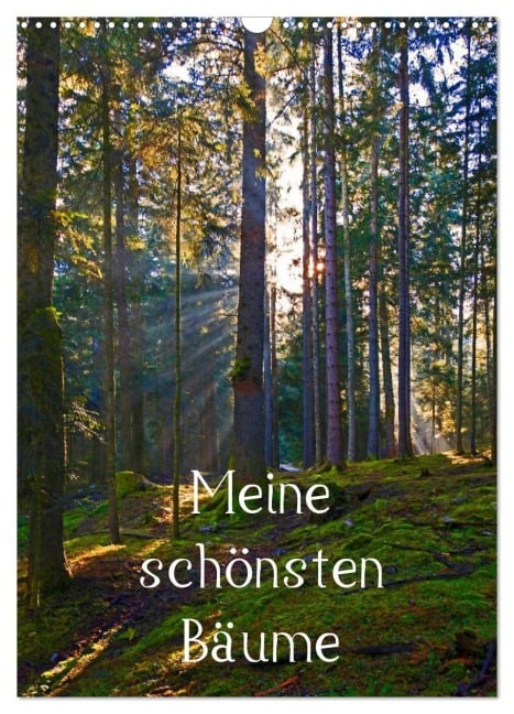 Meine schönsten Bäume (Wandkalender 2026 DIN A3 hoch), CALVENDO Monatskalender - Christa Kramer