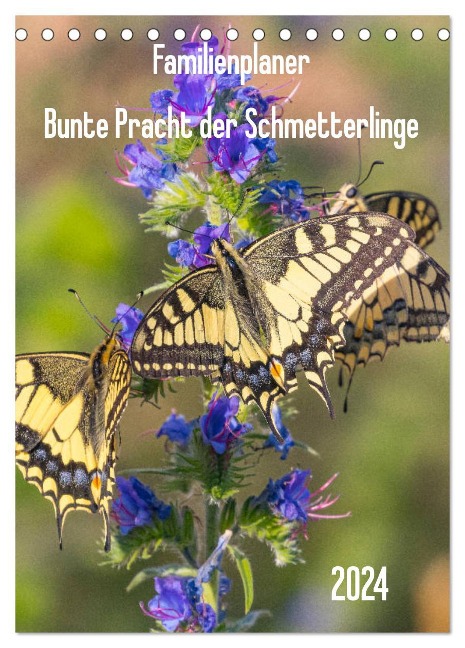 Familienplaner Bunte Pracht der Schmetterlinge (Tischkalender 2024 DIN A5 hoch), CALVENDO Monatskalender - Dany¿s Blickwinkel