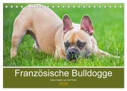 Cover-Bild zum Titel 'Französische Bulldogge - Kleine Helden auf vier Pfoten (Tischkalender 2026 DIN A5 quer), CALVENDO Monatskalender' von 'Sigrid Starick'