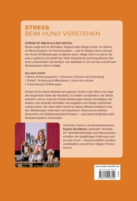 InsideView 8